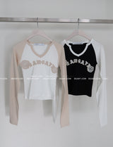 Rose Patch Color Raglan T-shirt