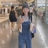 Central Denim Overalls