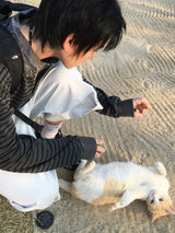 トッド ピグメントストライプカラースリーブ 3C