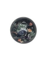 Fishbowl Dome Paperweight