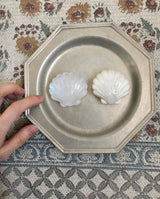 Clam Homica Tok 