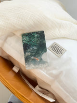 [green breeze magsafe cardslot]