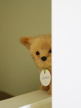 [Pre-order shipping by the second week of June] Cosymosy Real Puppy - Brown