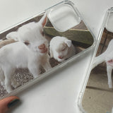 [little baby lamb jelly hard case]