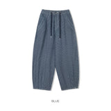 Grain stripe denim pants -2C