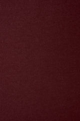 Log turtle neck top_wine