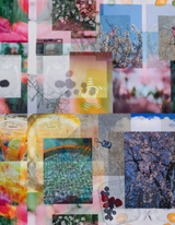 [4080XWEBHOUSE] ツイスターカレッジメッシュロングスリーブ