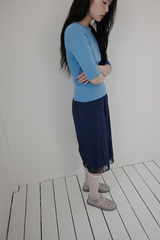 カラ―セクションT (5c)