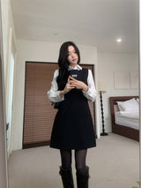 Soft Palette Panel-Cut Collar Shirt Blouse