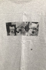 パピーボタンT