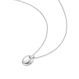 シルバーオーバルロジウムメッキ + 925シルバーネックレス N062-03H