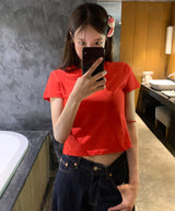 ハイリーレコメンドセミ-クロップ - tシャツ
