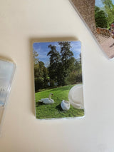 [Magsafe] swans in the sunlight cardslot case