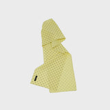 Little Star Long Scarf (yellow)