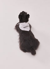 Classic naming bandana (White)