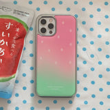 ウォーターメロンシルバーエポキシケース