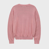 Dolphin Check Applique Crew Neck Knit