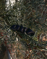 Growvine Pin (Black)