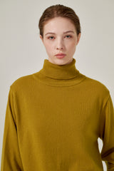 Cashmere turtle neck knit (Black)