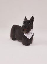 Classic naming bandana (White)