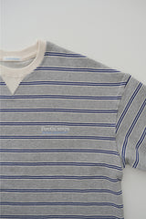 a light striped sweatshirt, grey