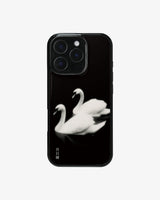 White Swan Case