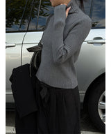 Golgi high neck warmer pola knit(5color)