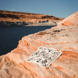 [Scarf] Joshua Tree - White