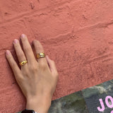 ロースカルプテッドリング (Gold/Silver)