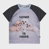 マルチーズ & マルプーハーフスリーブTシャツ