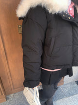 アイスブルームファーカラーダックダウンショートパファー