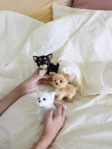[Pre-order shipping by the second week of June] Cosymosy Real Puppy - Brown