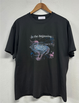 マイギャラクシー☪🌌✨オーロラプリンティングTシャツ 🎀🩶2カラー