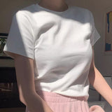 Real soft - t