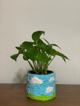 Fuzzy pot_Field (Sky blue)
