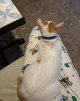 Kitch Homewear Pajama Pajama Pants