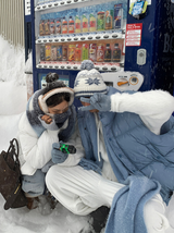 ローエラーウールブレンドデイリーリブグローブ