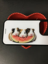 watermelon guineas pig case 