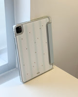 Stripe Star Ipad case