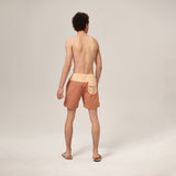 Ako Boardshort Brick