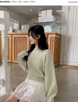 Pastel Crop Round Loose Knit (6color)