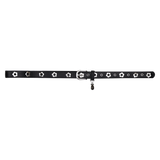 デイジーアイレットベルト (2 colors)