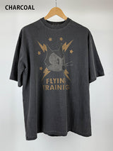 フェリックスウォッシュドTシャツ (2C)