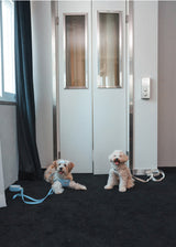 Holiday in paris X type harness (Sky blue)