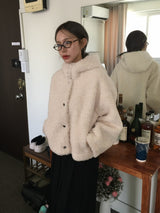 Foaming High Neck Poggle Fur Hooded Jacket (3c)