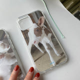 [little baby calf jelly hard case]