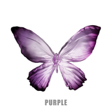 Sparkle Butterfly - Sony XM5 Case