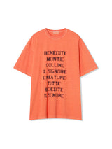No.1202 G dyeing half T (3color)