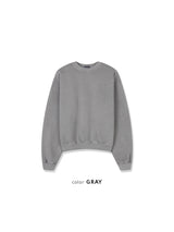 ピグメントクロップスウェットシャツ 7COLOR