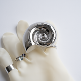 Ammonite Tok MagSafe_ Chrome